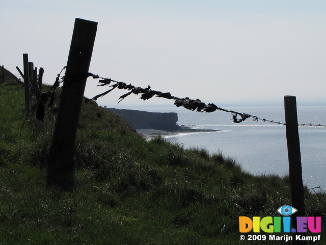 SX05154 Black plasting on barbed wire